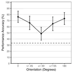 Visual perception in bottlenose dolphins (Tursiops truncatus): Successful recognition of 2-D objects rotated in the picture and depth planes